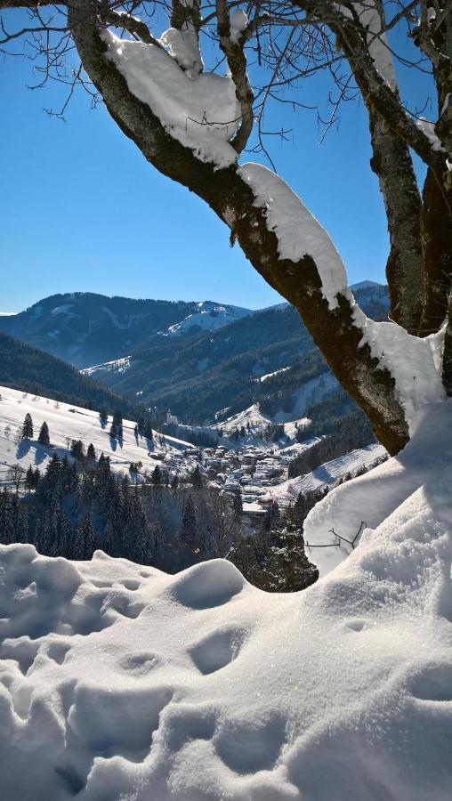 Das Hochkonig Dienten am Hochkönig Zewnętrze zdjęcie