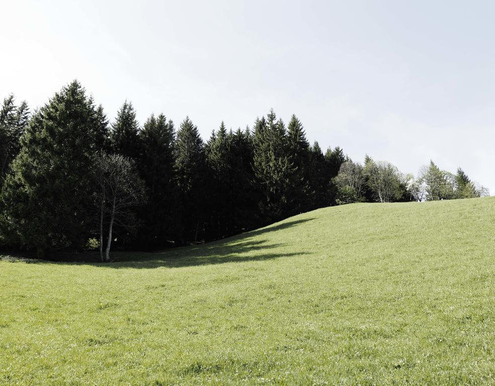 Das Hochkonig Dienten am Hochkönig Zewnętrze zdjęcie